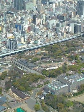 ハルカス300(展望台)に投稿された画像（2023/4/3）