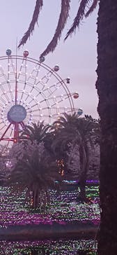 レオマリゾートに投稿された画像（2023/4/3）