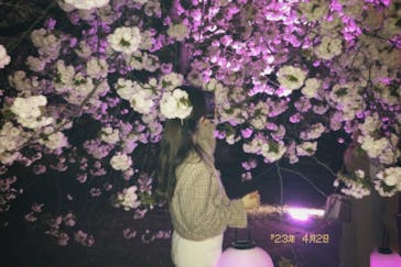 NAKED 桜の新宿御苑 2023に投稿された画像（2023/4/3）