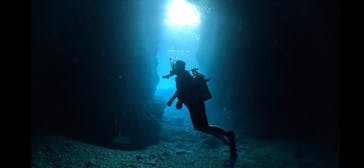 DIVING-SHOP SUNSに投稿された画像（2023/4/3）