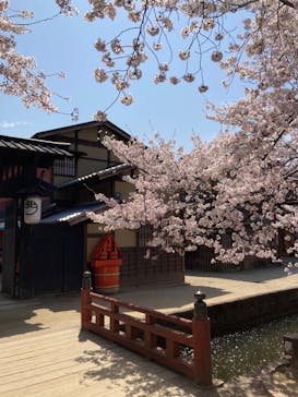 東映太秦映画村に投稿された画像（2023/4/3）