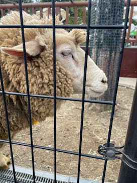 東武動物公園に投稿された画像（2023/4/3）