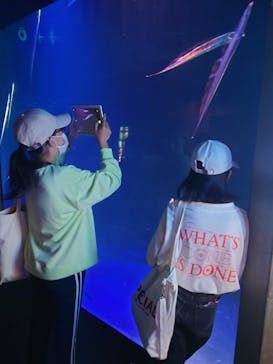 大分マリーンパレス水族館 「うみたまご」に投稿された画像（2023/4/3）