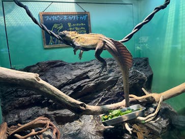 サンシャイン水族館に投稿された画像（2023/4/3）