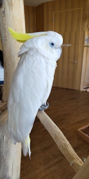 Moff animal cafe 小田原ダイナシティ店に投稿された画像（2023/4/3）