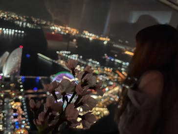 横浜ランドマークタワー 69階展望フロア スカイガーデンに投稿された画像（2023/4/3）