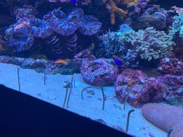 サンシャイン水族館に投稿された画像（2023/4/3）