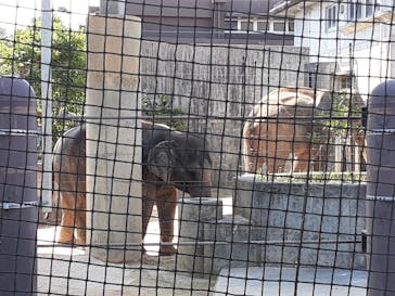 沖縄こどもの国に投稿された画像（2023/4/3）