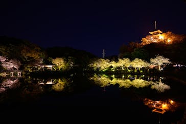 三溪園に投稿された画像（2023/4/3）