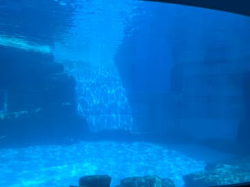 名古屋港水族館に投稿された画像（2023/4/3）