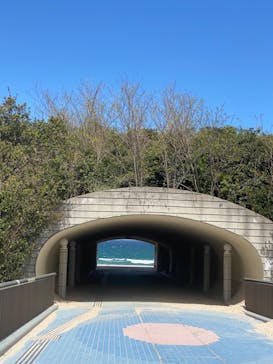 島根県立 しまね海洋館に投稿された画像（2023/4/3）