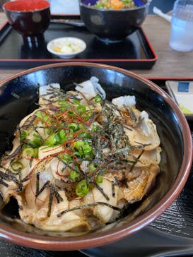 島根県立 しまね海洋館に投稿された画像（2023/4/3）