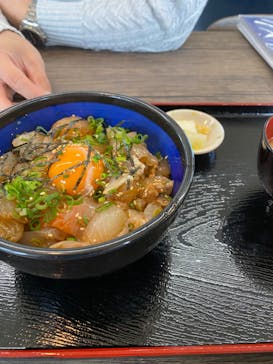 島根県立 しまね海洋館に投稿された画像（2023/4/3）