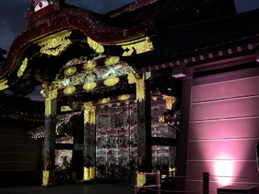 『NAKED FLOWERS 2023 桜 世界遺産・二条城』に投稿された画像（2023/4/3）