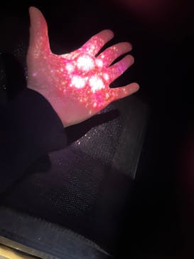 『NAKED FLOWERS 2023 桜 世界遺産・二条城』に投稿された画像（2023/4/3）