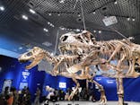 特別展「恐竜博2023」に投稿された画像（2023/4/3）