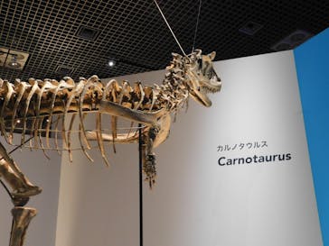 特別展「恐竜博2023」に投稿された画像（2023/4/3）