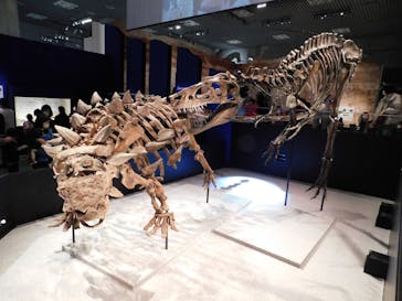 特別展「恐竜博2023」に投稿された画像（2023/4/3）