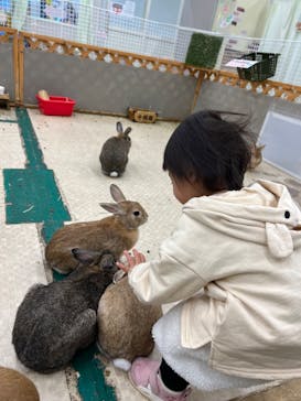 東京あそびマーレに投稿された画像（2023/4/3）