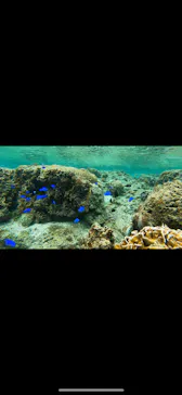 武藤潜水に投稿された画像（2023/4/3）