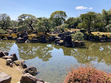 元離宮二条城に投稿された画像（2023/4/3）