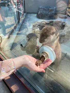 横浜・八景島シーパラダイスに投稿された画像（2023/4/3）