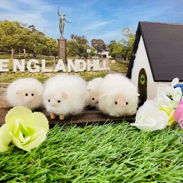 淡路ファームパーク イングランドの丘に投稿された画像（2023/4/3）