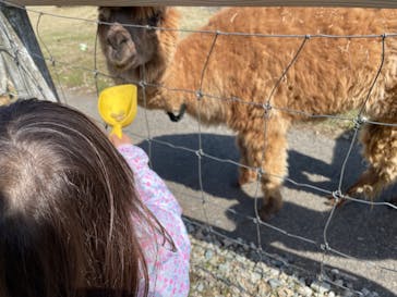 那須どうぶつ王国に投稿された画像（2023/4/3）
