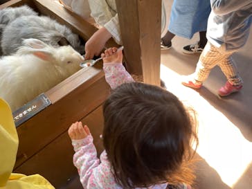 那須どうぶつ王国に投稿された画像（2023/4/3）