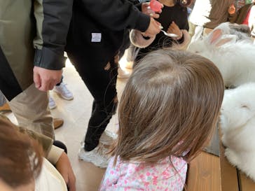 那須どうぶつ王国に投稿された画像（2023/4/3）