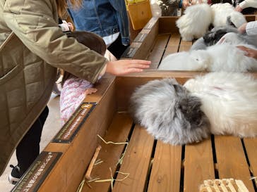 那須どうぶつ王国に投稿された画像（2023/4/3）