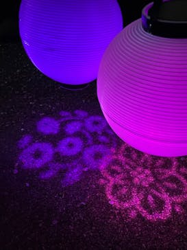 NAKED 桜の新宿御苑 2023に投稿された画像（2023/4/3）