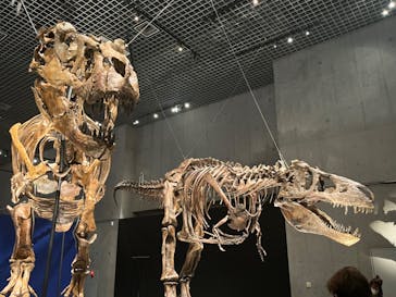 特別展「恐竜博2023」に投稿された画像（2023/4/3）