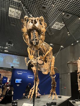 特別展「恐竜博2023」に投稿された画像（2023/4/3）