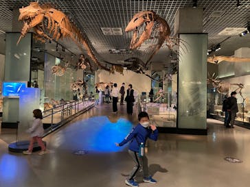 国立科学博物館に投稿された画像（2023/4/3）