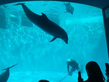 名古屋港水族館に投稿された画像（2023/4/3）