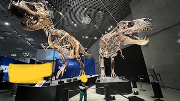 特別展「恐竜博2023」に投稿された画像（2023/4/3）