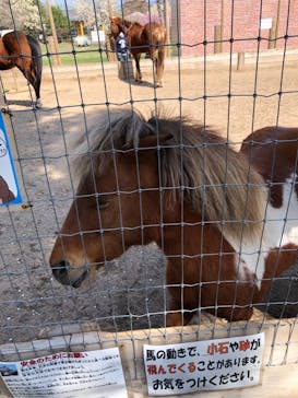 伊香保グリーン牧場に投稿された画像（2023/4/3）