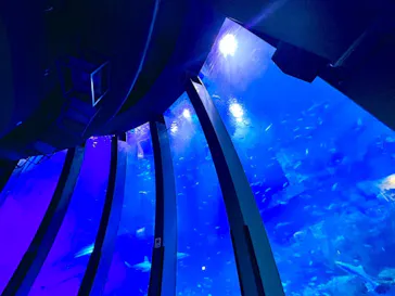 横浜・八景島シーパラダイスに投稿された画像（2023/4/3）