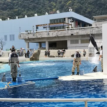 大分マリーンパレス水族館 「うみたまご」に投稿された画像（2023/4/3）