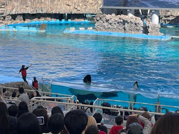 名古屋港水族館に投稿された画像（2023/4/3）