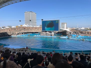 名古屋港水族館に投稿された画像（2023/4/3）