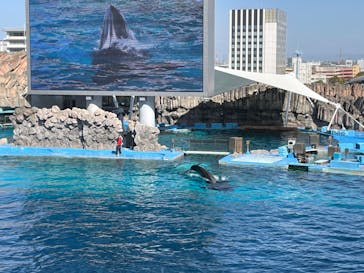 名古屋港水族館に投稿された画像（2023/4/3）