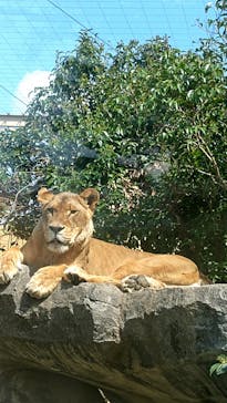 東武動物公園に投稿された画像（2023/4/3）