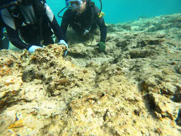 武藤潜水に投稿された画像（2023/4/3）