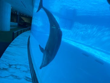 マリンワールド海の中道に投稿された画像（2023/4/3）