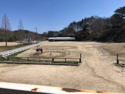 MRC乗馬クラブ広島に投稿された画像（2023/4/3）