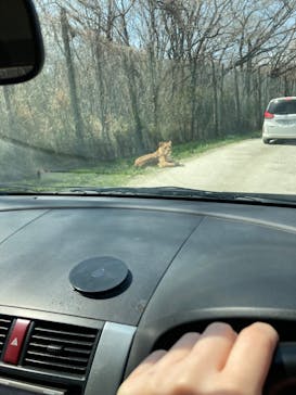 那須サファリパークに投稿された画像（2023/4/3）