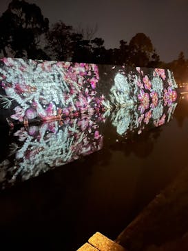 『NAKED FLOWERS 2023 桜 世界遺産・二条城』に投稿された画像（2023/4/3）