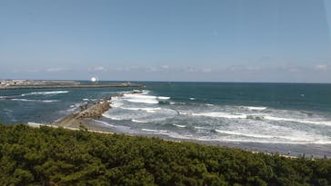 アクアワールド茨城県大洗水族館に投稿された画像（2023/4/3）